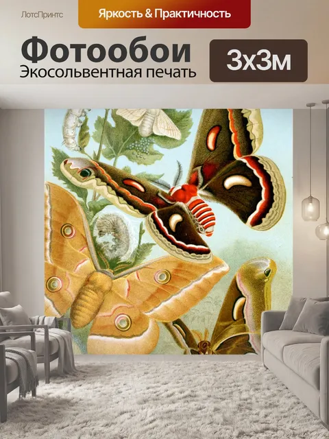 Фотообои Бабочки мотылек арт винтаж