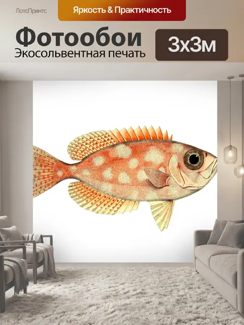Фотообои Рыба с пятнами большеглазого винтажного