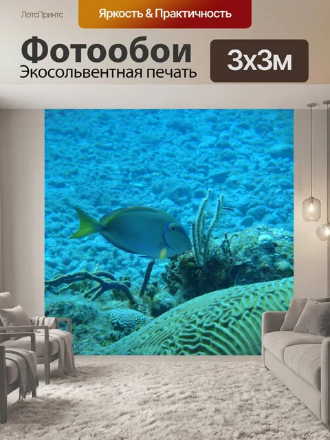 Фотообои Морское дно