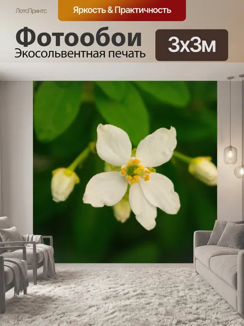 Фотообои Природа
