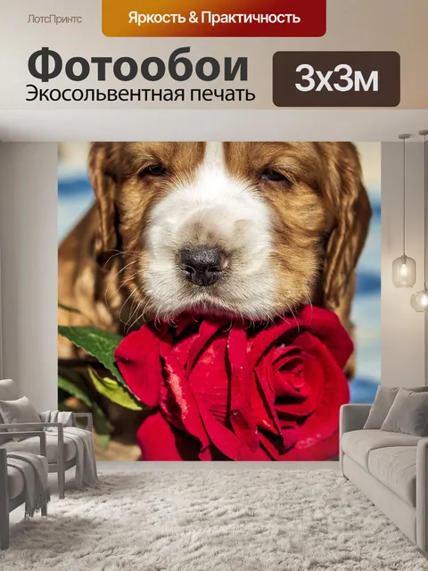 Фотообои Собака