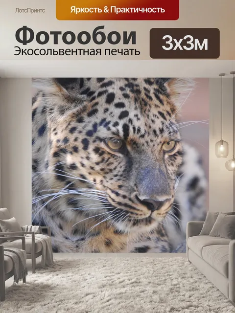 Фотообои Леопард