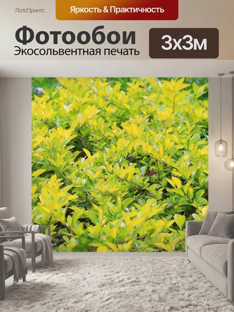 Фотообои желто-зеленый фон листья