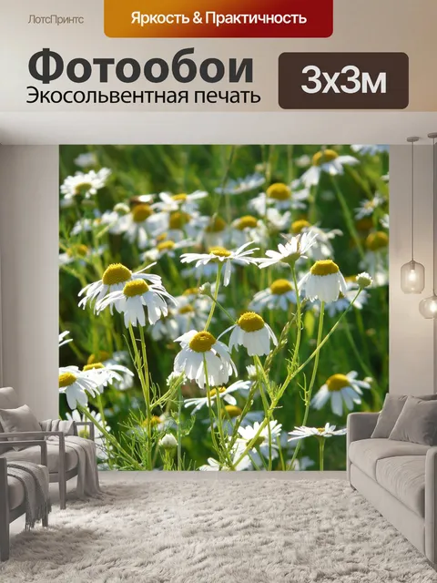 Фотообои Настоящая ромашка