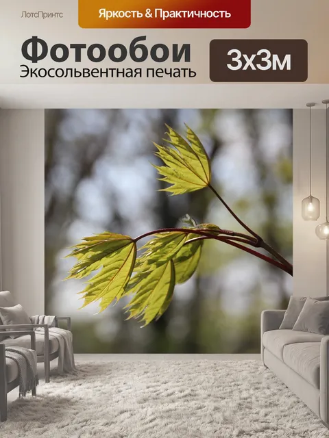 Фотообои Листья