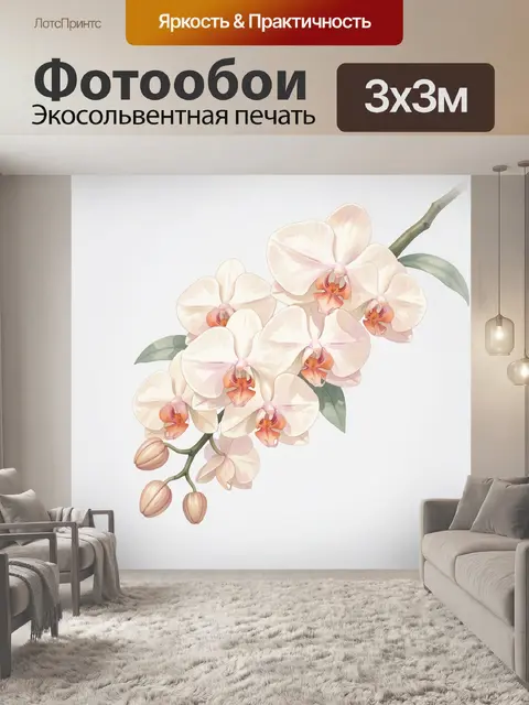 Фотообои Нежная ветка белой орхидеи