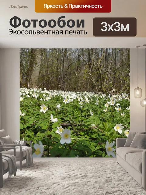 Фотообои Древесные анемоны