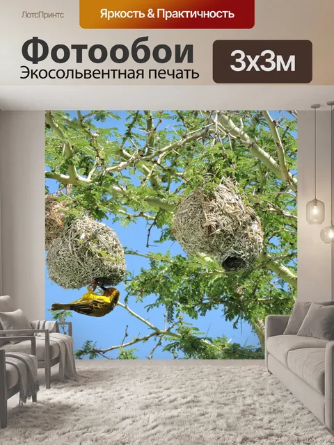 Фотообои Воробей
