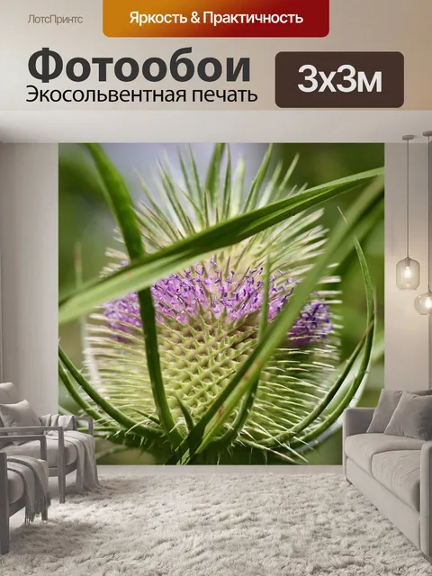 Фотообои Дикая карта