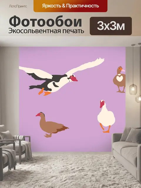 Фотообои Ducks