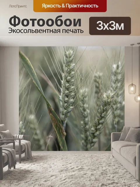 Фотообои Золотое пшеничное поле и солнечный день