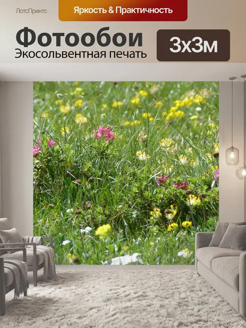 Фотообои Луга