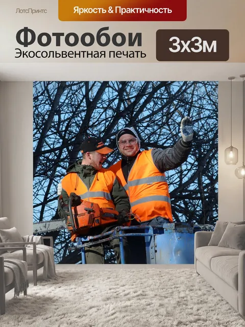 Фотообои Спил