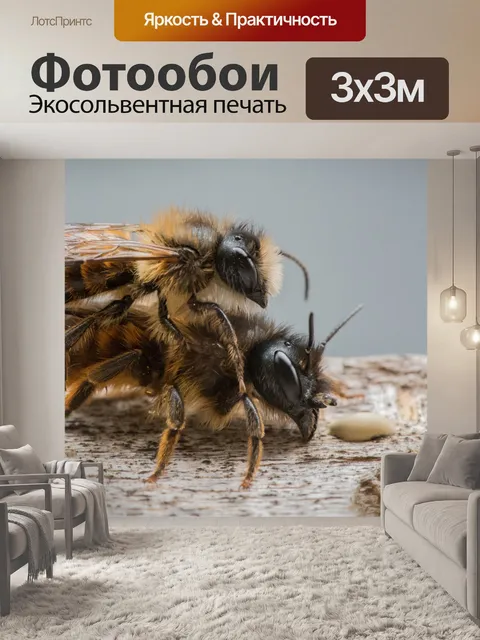 Фотообои Дикие пчелы