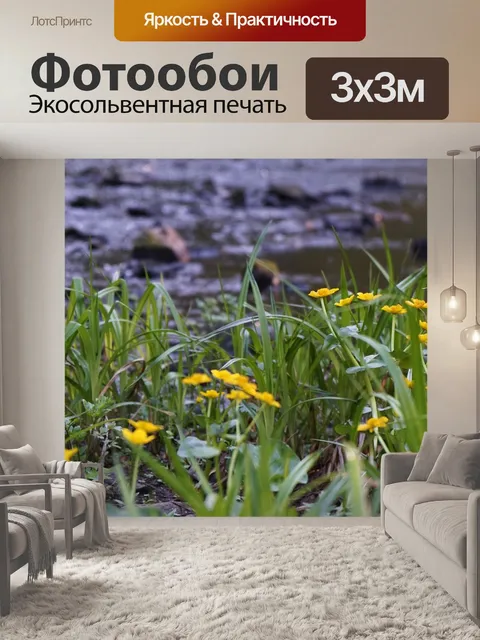 Фотообои Цветы