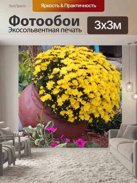 Фотообои Глиняный горшок