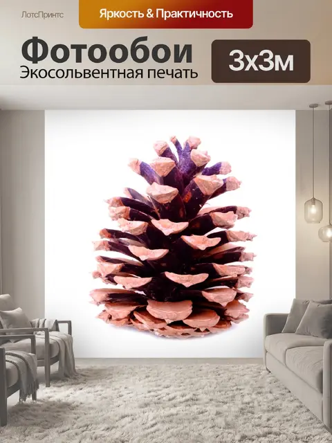 Фотообои Конус