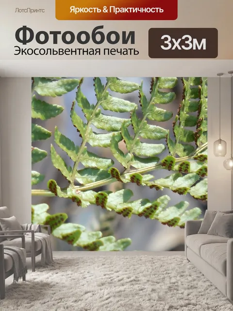 Фотообои Оттенок
