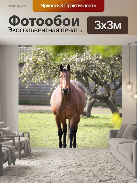 Фотообои Верховая Прогулки