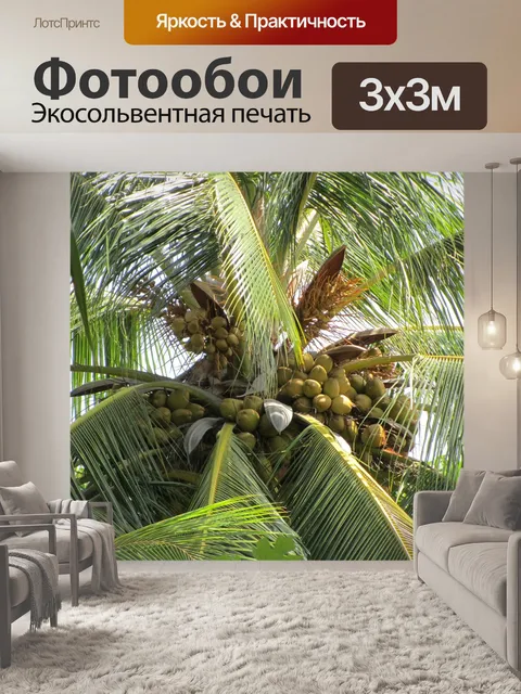 Фотообои Пальма