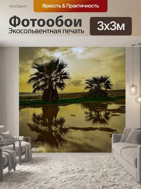 Фотообои Пальмы