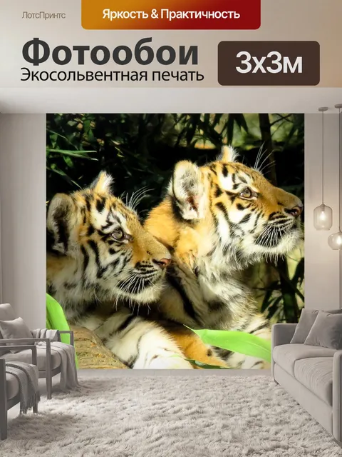 Фотообои Животное