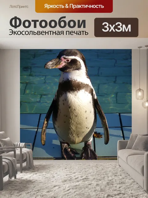Фотообои Пингвин