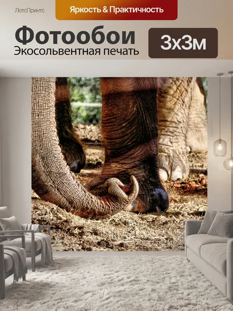 Фотообои Ножки и сундук слона