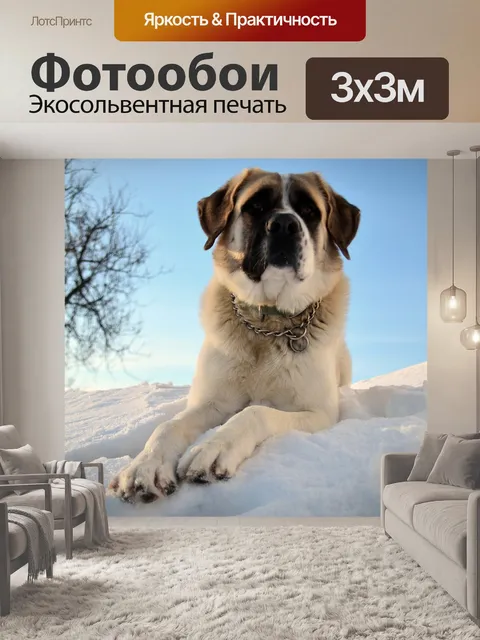 Фотообои Собака
