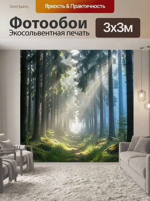Фотообои Солнечные лучи в хвойном лесу