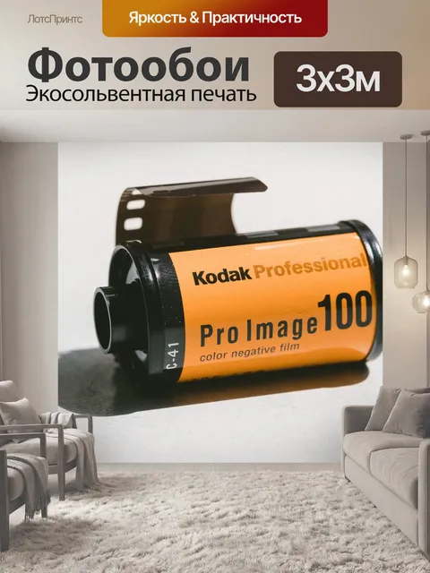 Фотообои Фотография