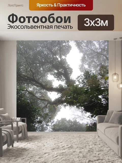 Фотообои Дерево дождевого леса