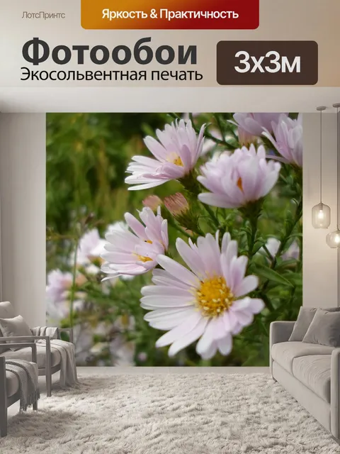 Фотообои Белый цветок желтый пестик