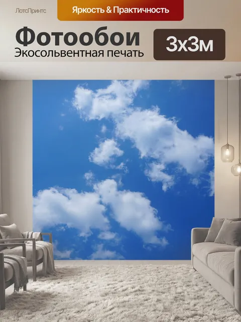 Фотообои Вид