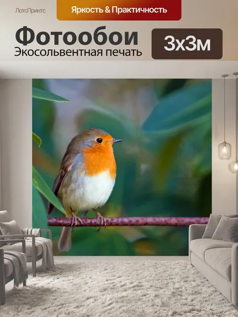Фотообои Птица, Робин