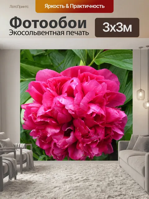 Фотообои Блум