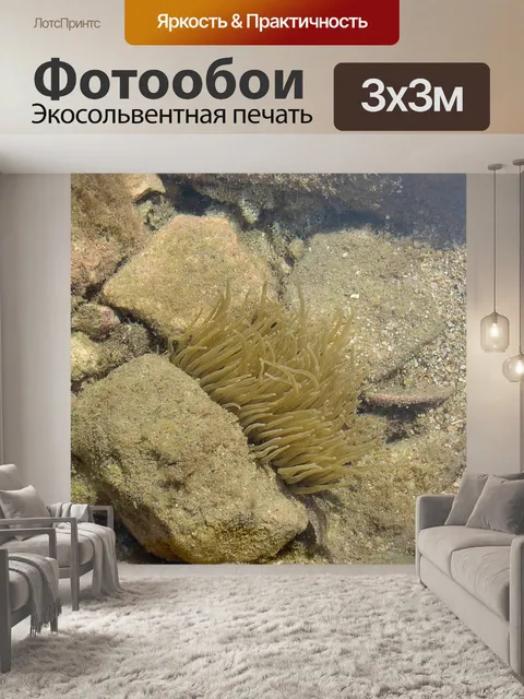 Фотообои Вода