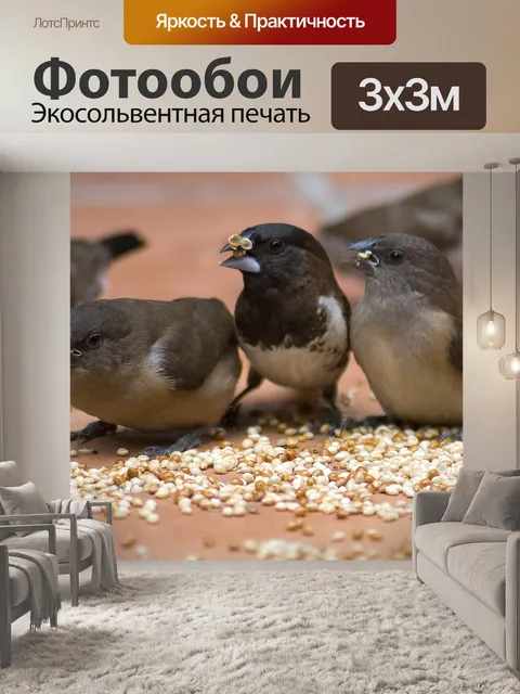 Фотообои Птица