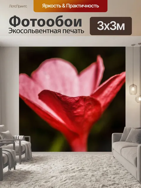 Фотообои Дикий цветок в Таиланде