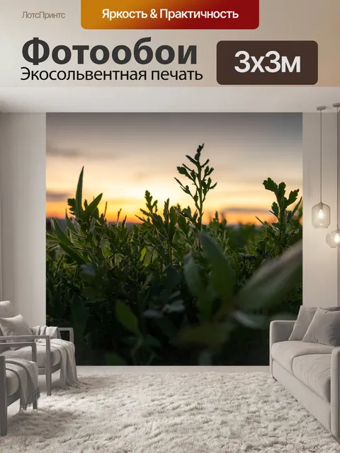 Фотообои Трава