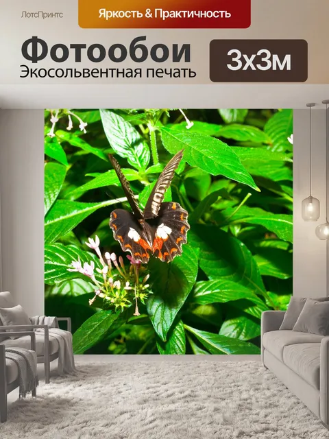 Фотообои Бабочка