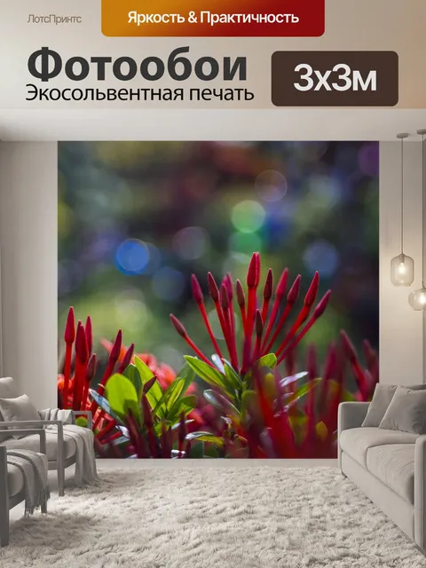 Фотообои Фиолетовый