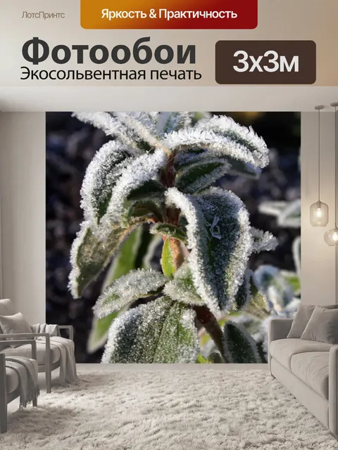 Фотообои Морозный завод