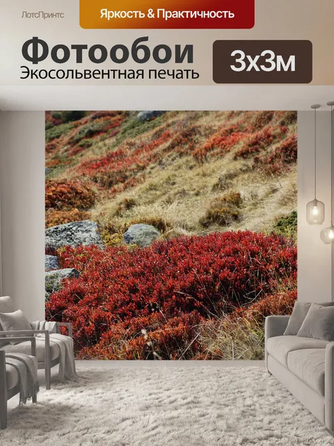 Фотообои Кусты