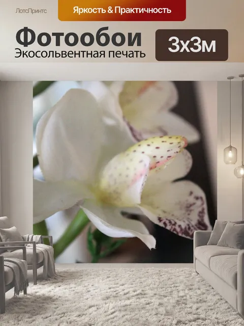 Фотообои Белая орхидея 3