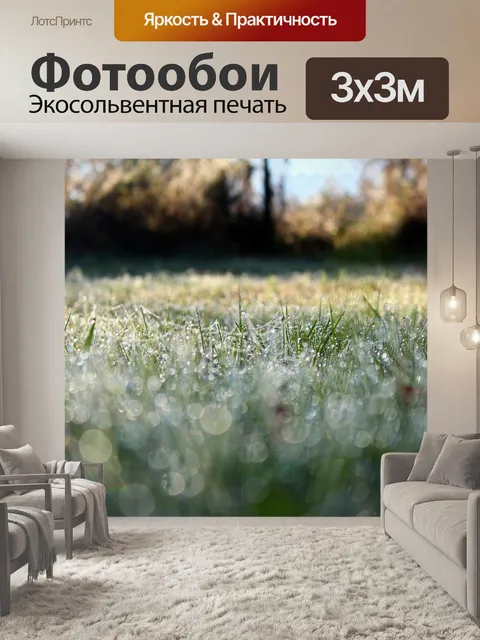 Фотообои Утро