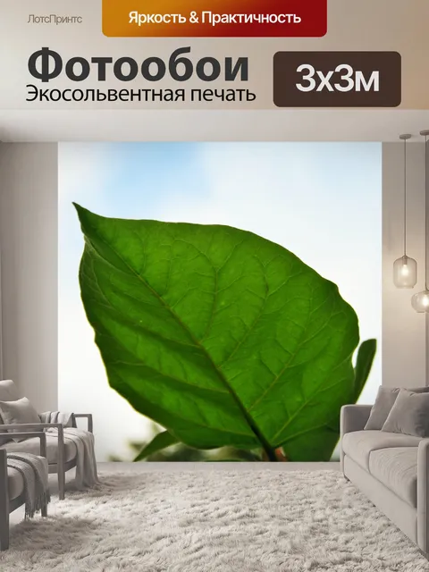 Фотообои Большой лист дерева помидор