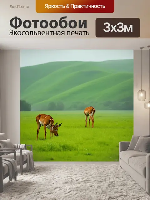 Фотообои утро, олени, спокойно пасущиеся на зеленом луговом лужайке