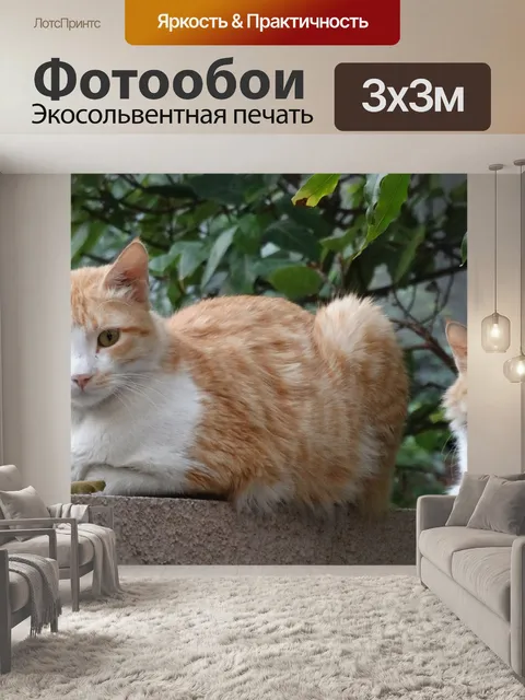 Фотообои Кошки