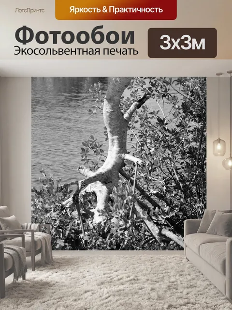 Фотообои Корни ствол дерева озеро